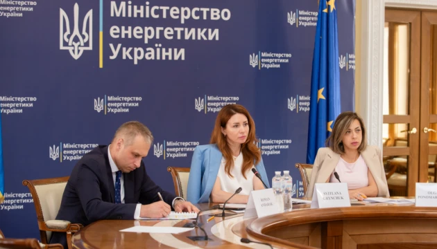 Україна і Туреччина «оживляють» робочу групу в галузі енергетики - останнє засідання було у 2021 році