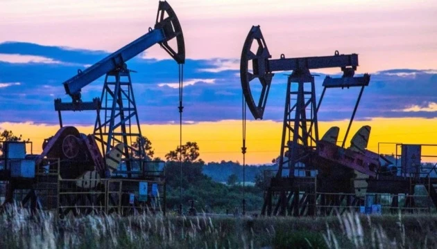 Укрнафта починає розвідувальні роботи на перспективному родовищі - Олеській площі