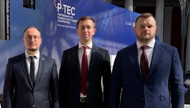 Голова правління Нафтогазу обговорив із партнерами диверсифікацію постачання енергоресурсів