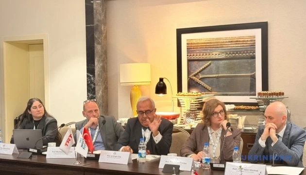 Туреччина довела ефективне посередництво і могла б допомогти з поверненням викрадених дітей - експертка