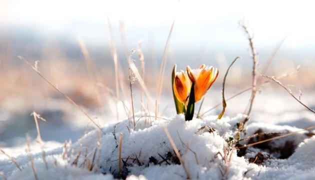 На вихідних в Україну прийде потепління до +18°, вночі збережуться заморозки