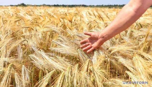 Зростання світових цін на продовольство у вересні було найшвидшим за 1,5 року - FAO