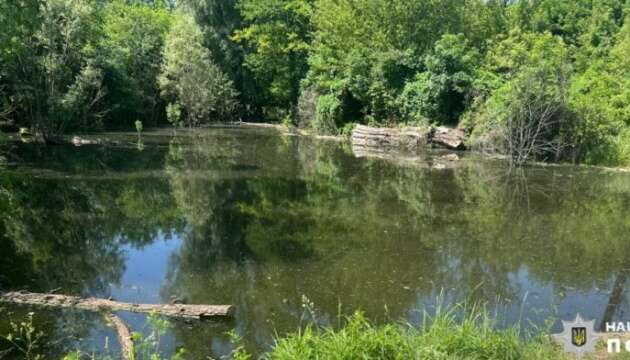 На Київщині у ставку потонув дворічний хлопчик