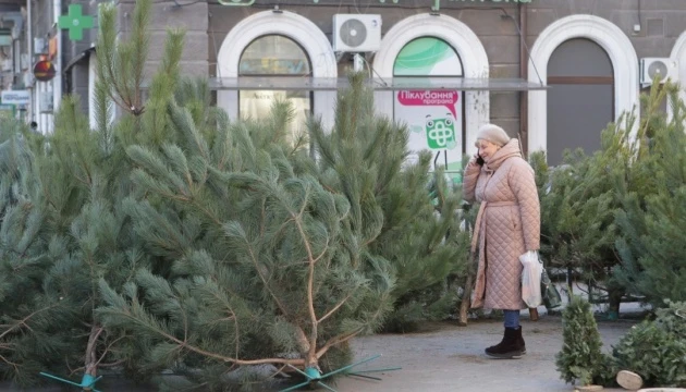 Як відрізнити офіційні ярмарки ялинок від незаконних - поради поліції