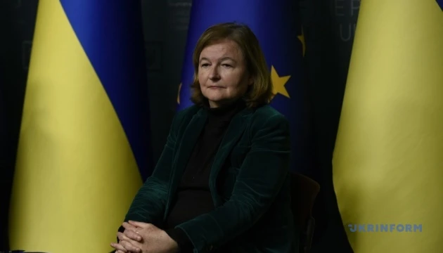 Захід нарешті має знайти політичну волю для конфіскації заморожених активів РФ - євродепутати