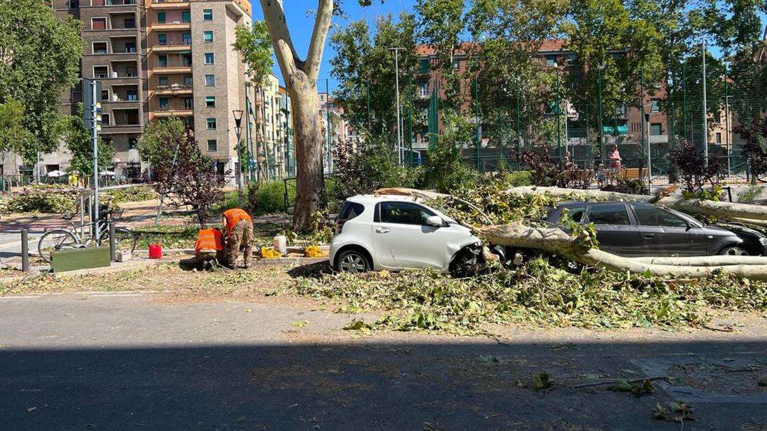 Maltempo, verso una proroga delle scadenze del 31/7