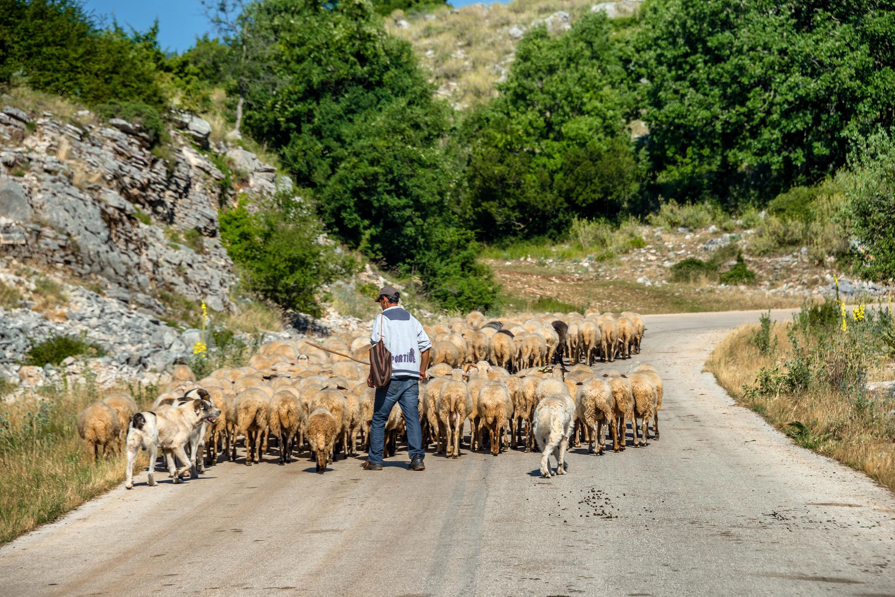 Grecia, lo scandalo sui sussidi agricoli europei getta il panico tra i piccoli coltivatori diretti
