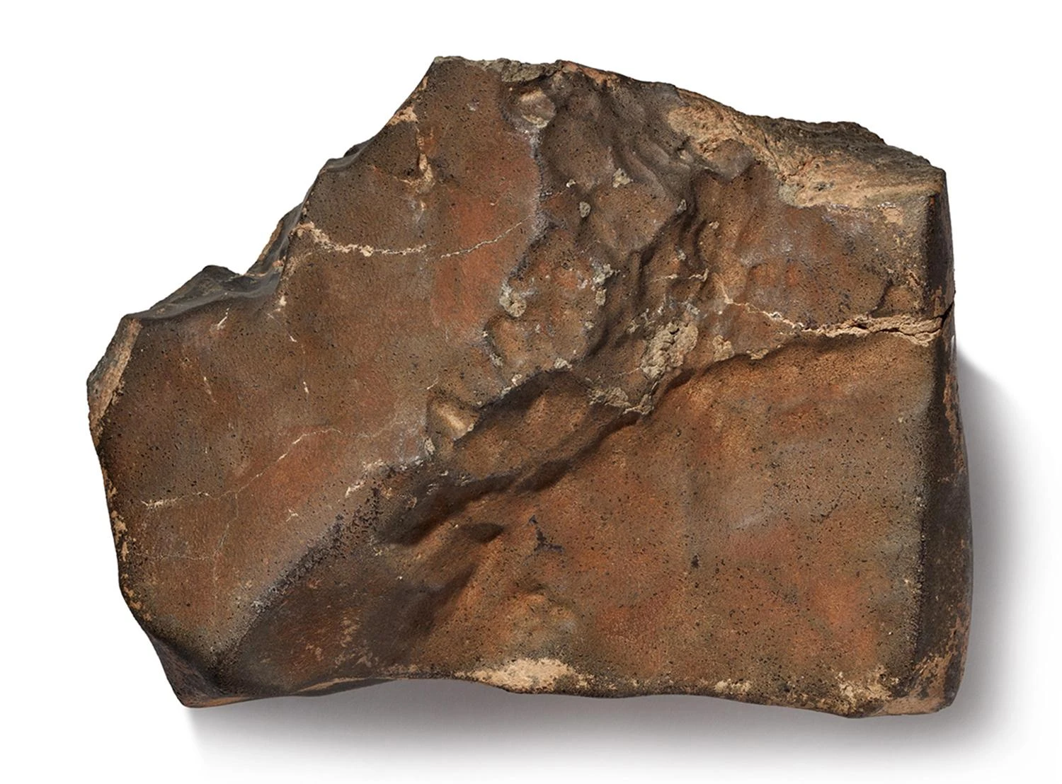 La più grande pietra di Marte mai trovata sulla Terra venduta all’asta per 5,3 milioni di dollari