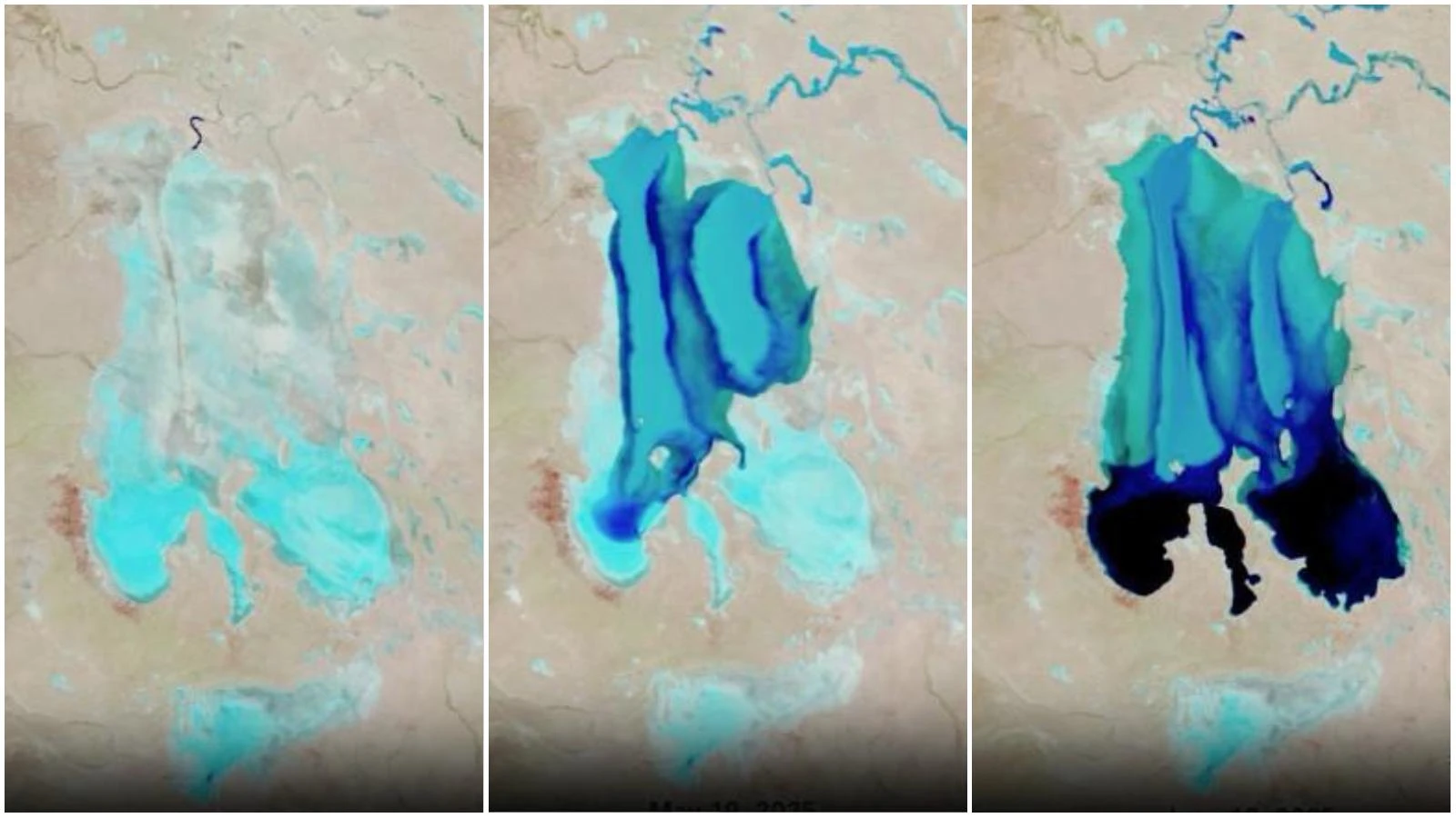 Il deserto si risveglia in Australia, l’incredibile rinascita del lago Eyre. Ed è subito boom turistico. Cosa è successo