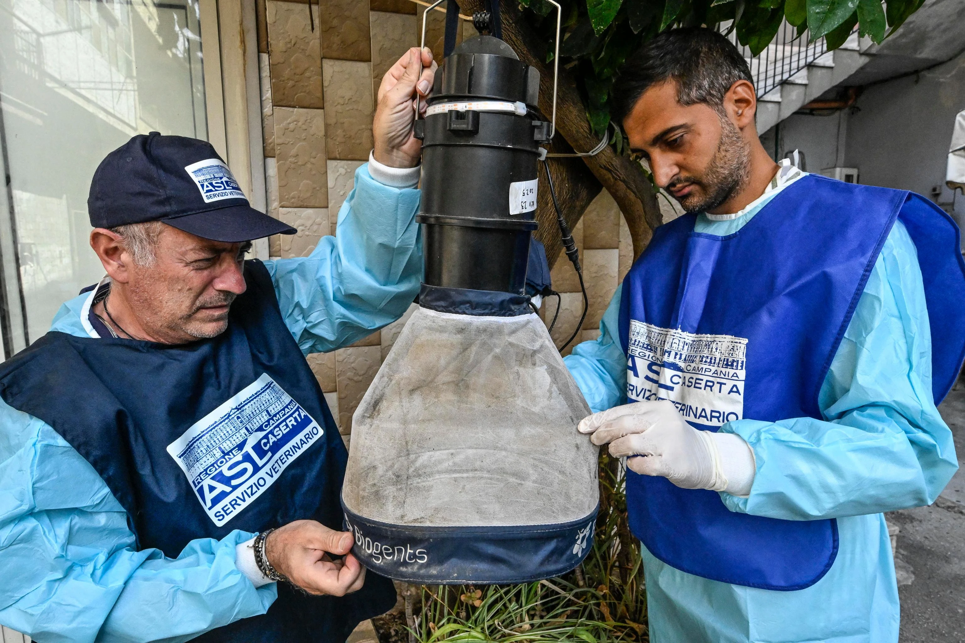 West Nile, il virus non si ferma: primo morto in Lombardia. Controlli nelle zone a rischio