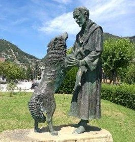 Basilica di Assisi, avvistato un lupo. Il Comune tranquillizza:: 