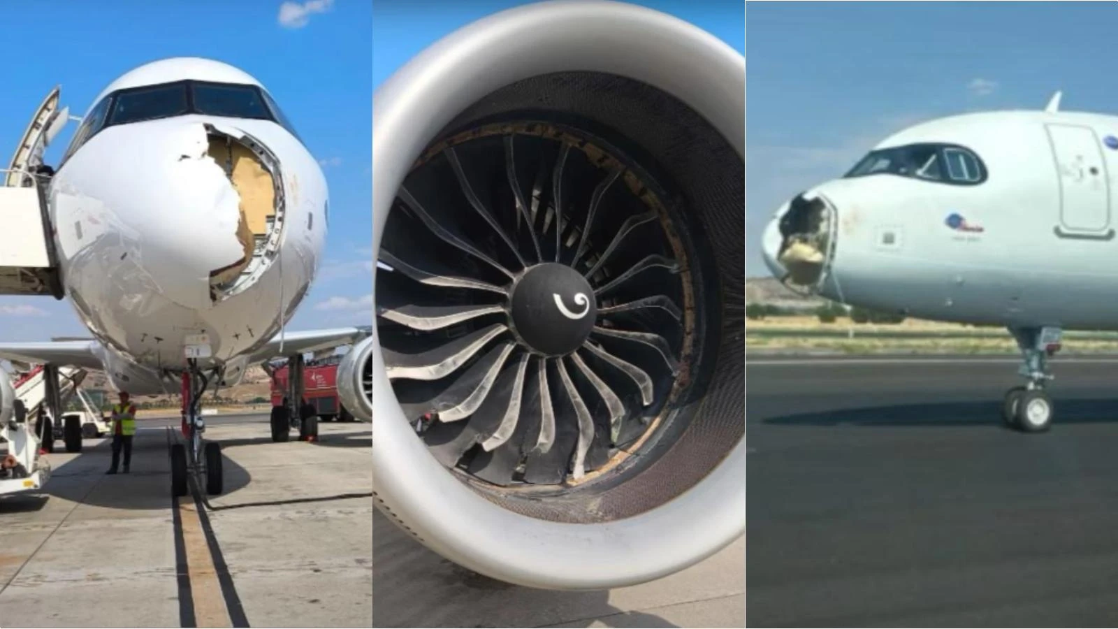 Spagna, collisione in volo con un uccello: atterraggio di emergenza per un aereo Iberia