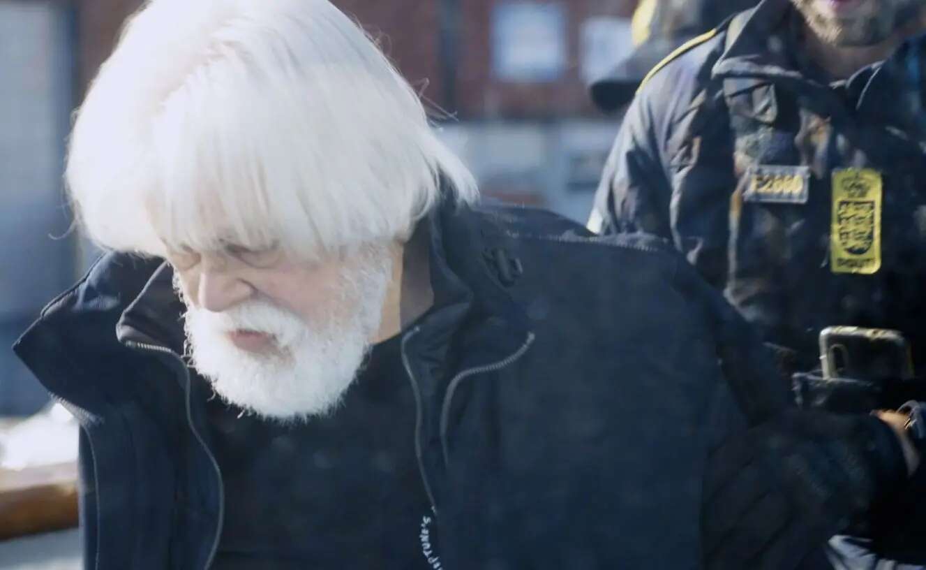 Balene, Paul Watson (Sea Shepherd) arrestato in Groenlandia su mandato di Tokyo. Rischia l’estradizione in Giappone