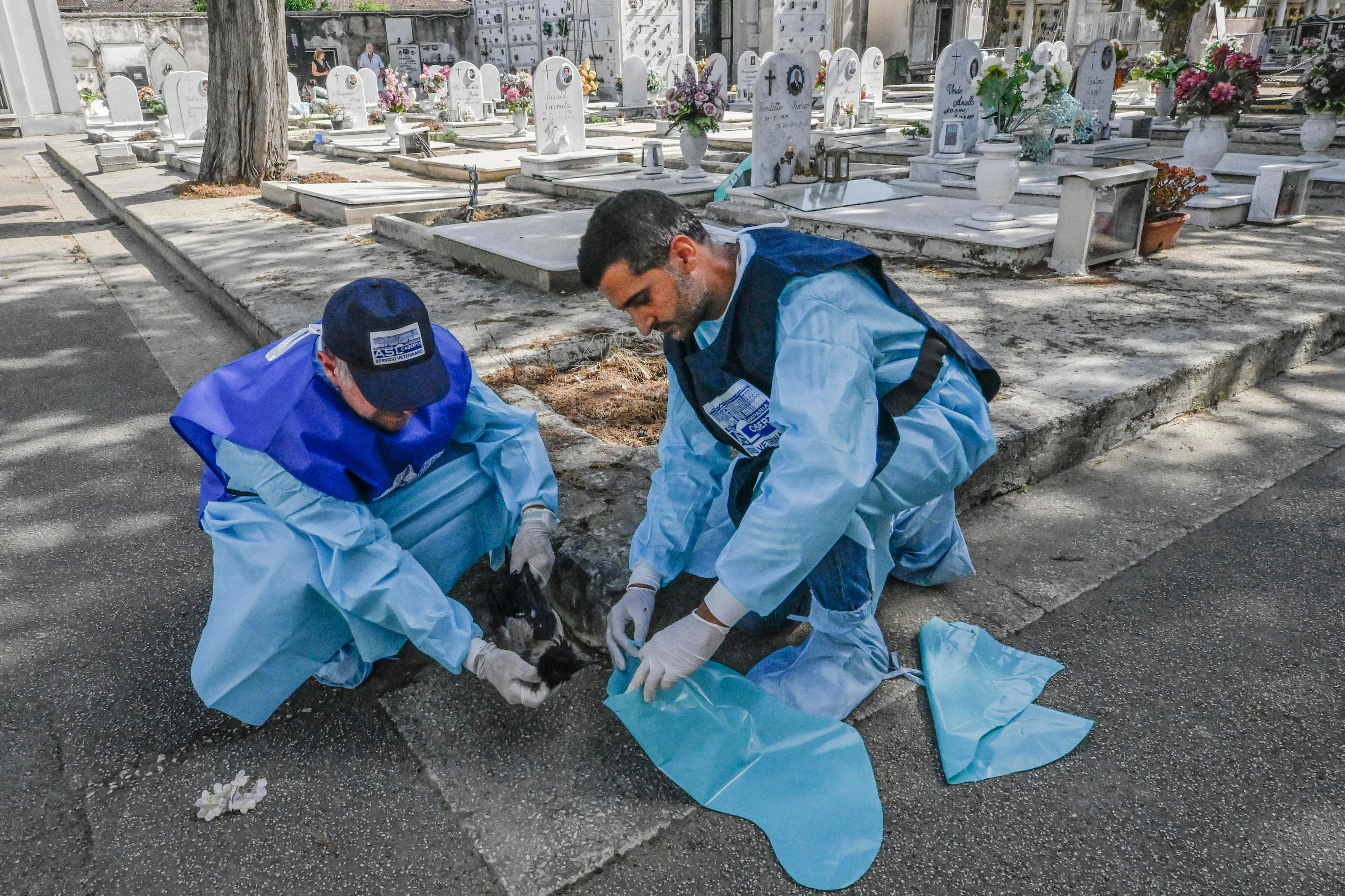 West Nile: un altro morto a Caserta, è l'ottavo in Italia. “Almeno 10mila infezioni, andamento imprevedibile”
