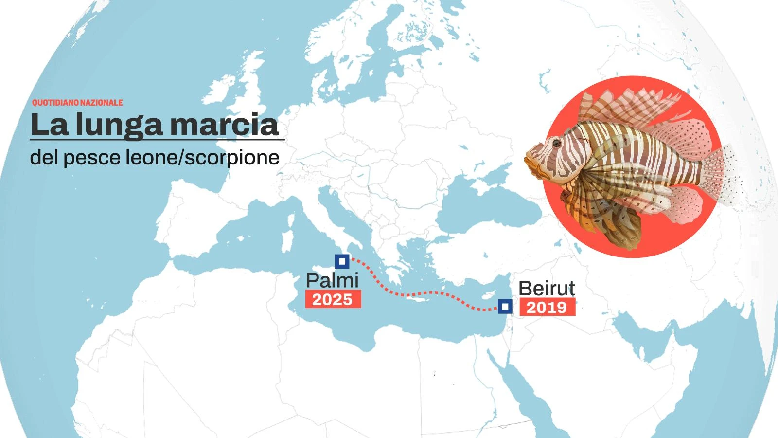 Pesce scorpione, cosa fare se si viene punti? La scoperta dell’acqua calda