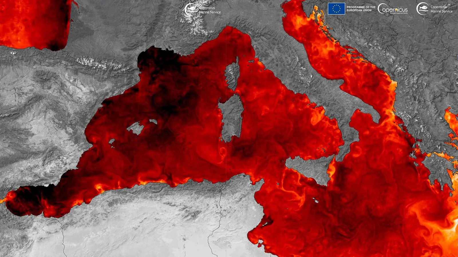 Il Mediterraneo si scalda più di altri mari e non raffredda più la terraferma