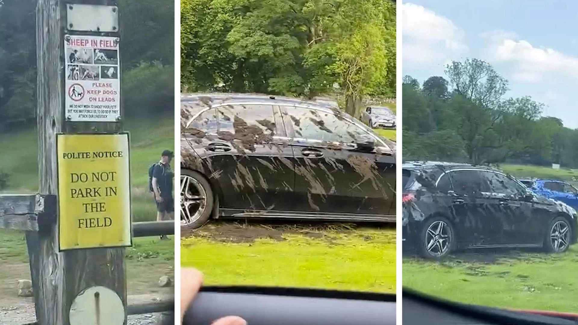 “Via dal mio campo”. Agricoltore furibondo cosparge liquame su decine di auto di lusso. Il video