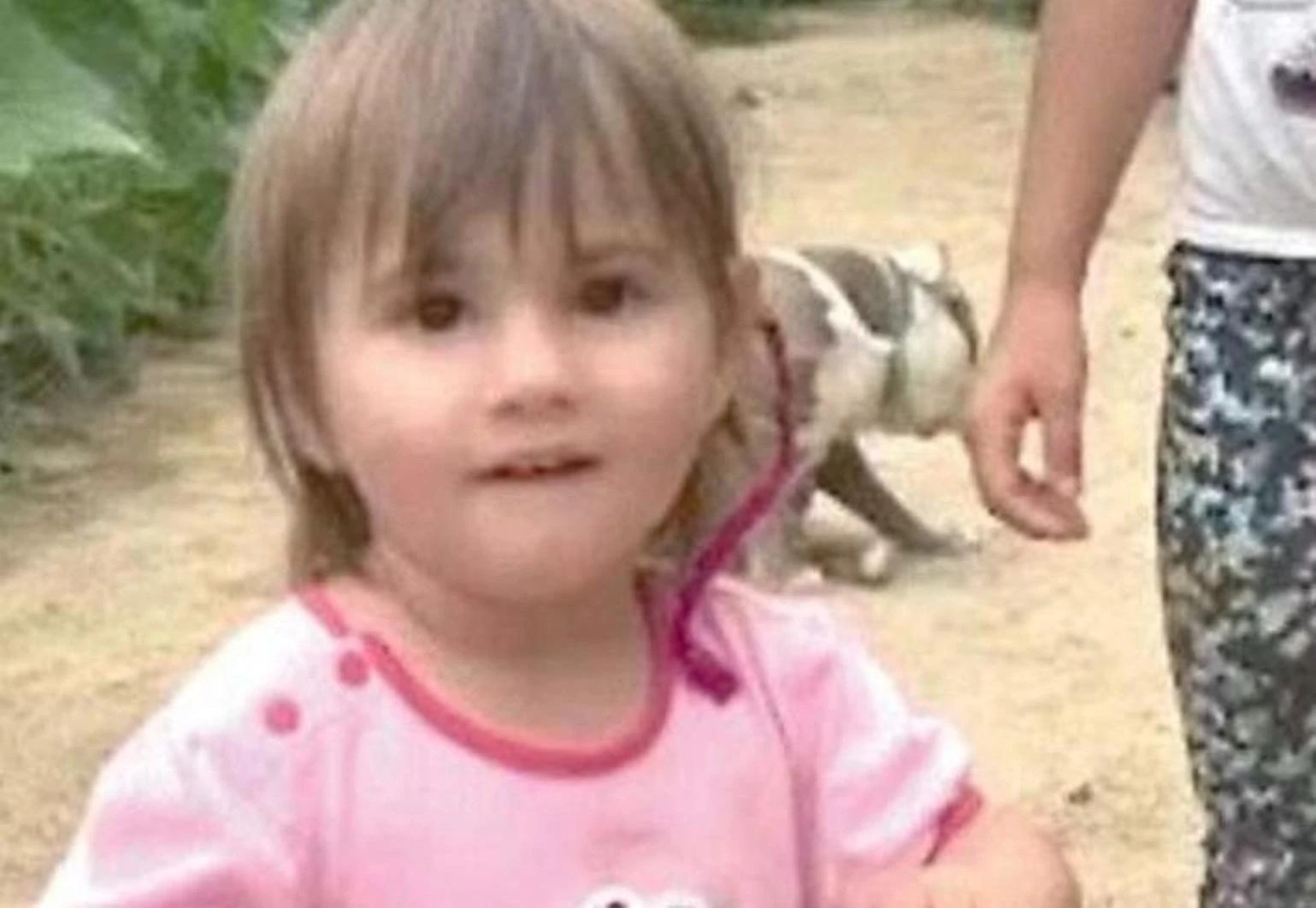 L’agonia di Beatrice . I pm contro la madre: 