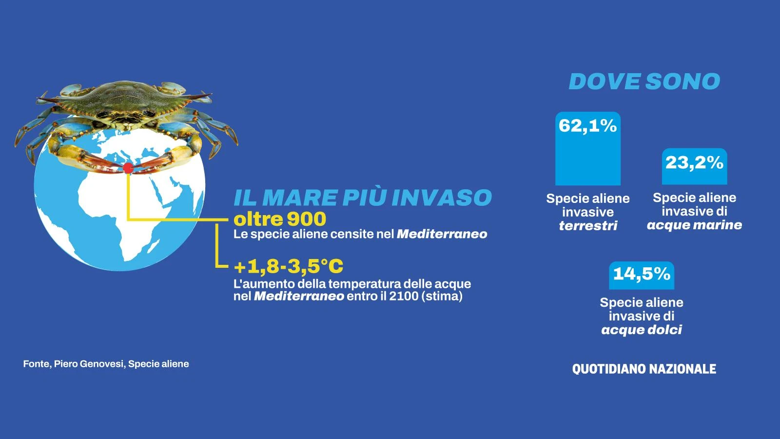 Specie aliene, “Mediterraneo mare più invaso al mondo”. Ma ci sono anche gli intrusi buoni