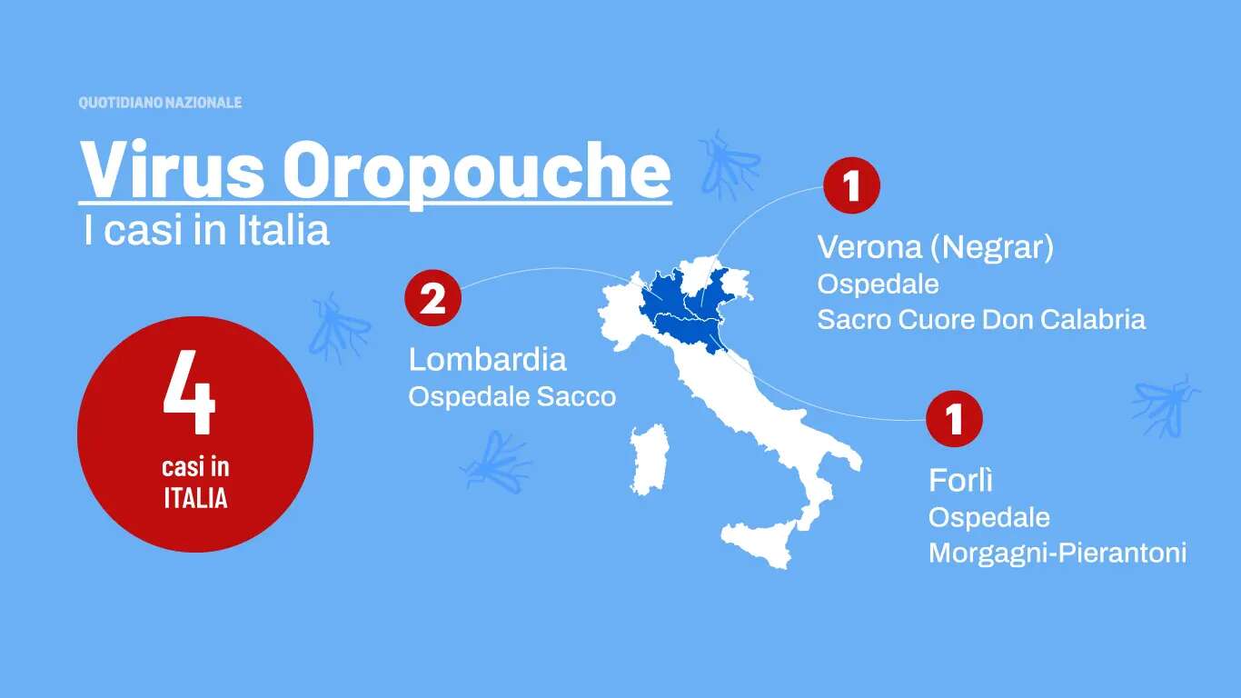 Virus Oropouche: che cos’è, chi è a rischio infezione e le precauzioni da prendere