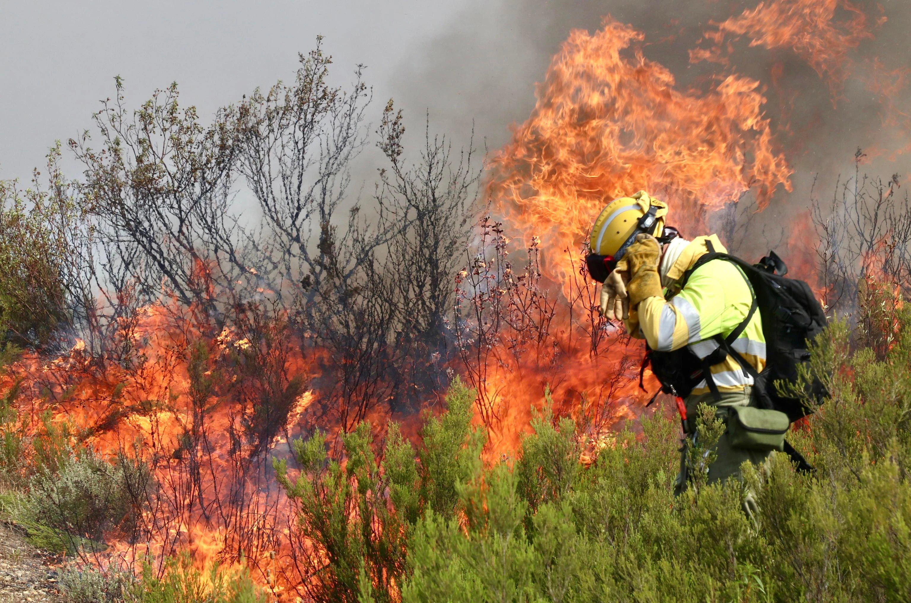 Spagna in lotta contro decine di incendi boschivi: un morto vicino Madrid e centinaia di evacuati