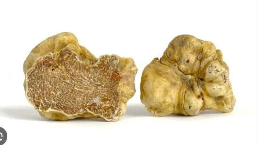 Caviale e tartufo intramontabili