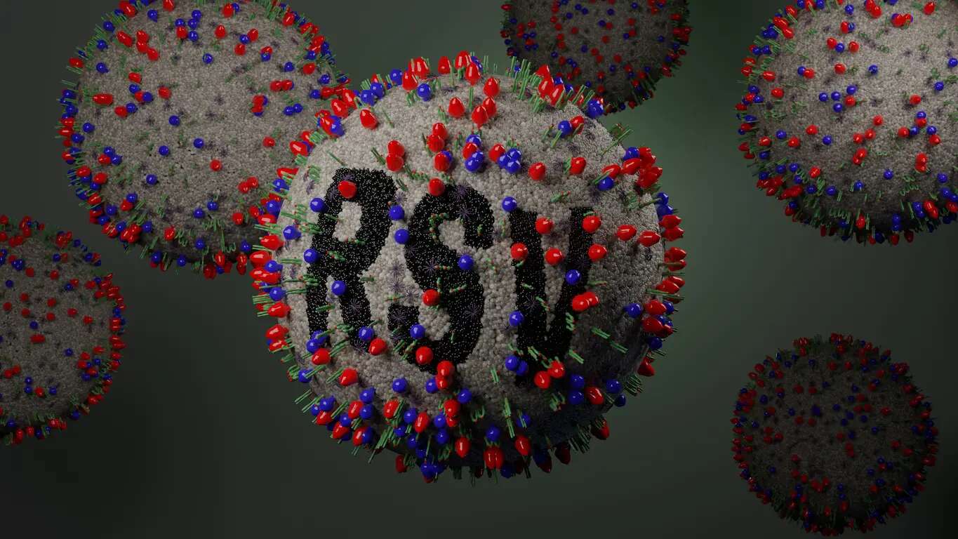 Virus sinciziale, l’immunizzazione per i neonati è un obbligo? I chiarimenti dell’esperta