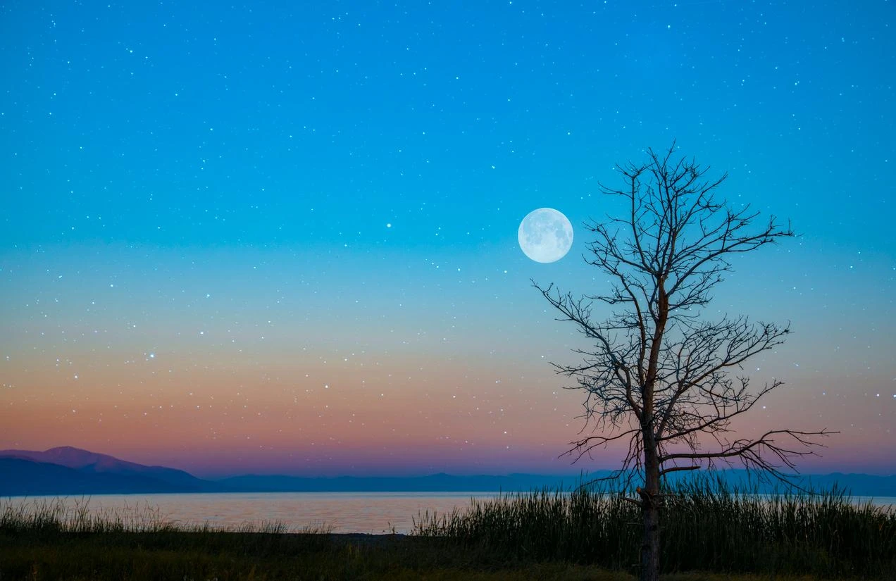 Dalla Luna delle fragole alle stelle cadenti: quando e dove vedere lo spettacolo nel cielo di giugno 2025