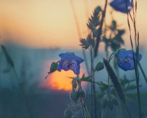 Чи будуть спекотні останні літні вихідні