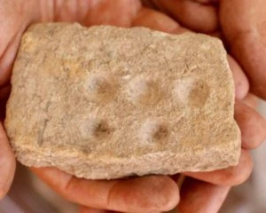 Відкопали палітру, якою художник користувався 5 тис. років тому