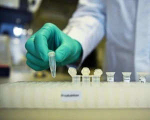 У Бердянську в школяра підтвердили коронавірус