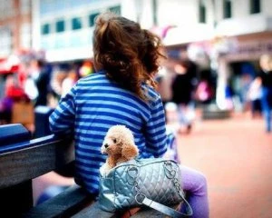 П'яна мати загубила 11-річну доньку