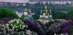 Ботсад імені Гришка може збанкрутувати