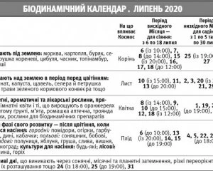 У липні закладають грядки полуниці