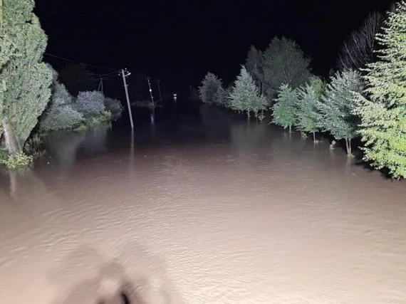 Нічна негода валила дерева та лишили людей без світла