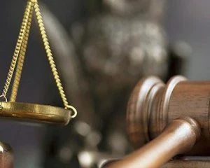Тищенко проти Лероса. Суд переніс розгляд позову