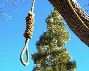 Чоловік повісився в кущах на гілці дерева