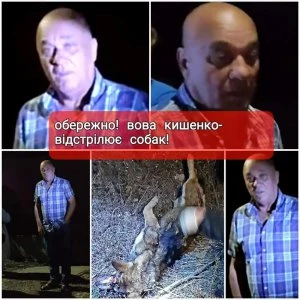 Чоловік на вулиці розстріляв собак: підозрюють депутата