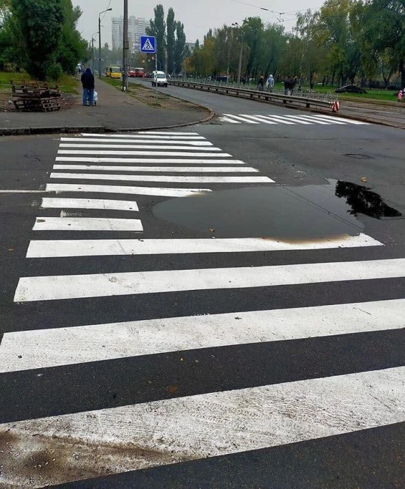 Нанесли, оминаючи калюжу: кумедна зебра розсмішила киян