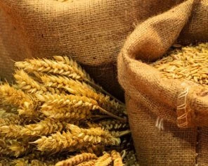 Україна продала рекордний обсяг зернових