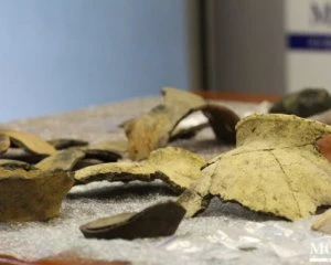 Під час будівництва дороги знайшли давні поселення
