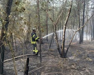 Зеленський дозволив гасити вогонь на Луганщині авіацією