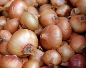 Українцям продають рекордно дешеву цибулю