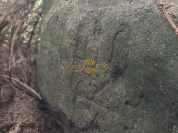 У лісі знайшли камені з тризубами