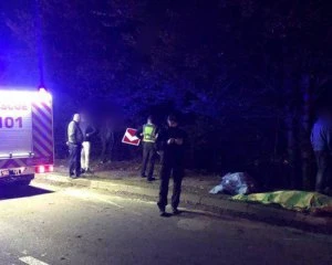На Прикарпатті легковик злетів з дороги в урвище: є загиблі та постраждалі