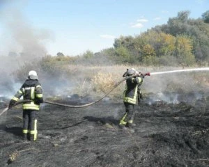 Пожежі на Луганщині: авіація скинула 504 тонни води