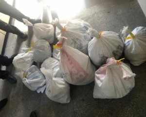 До Угорщини намагалися вивезти 15 мішків бурштину