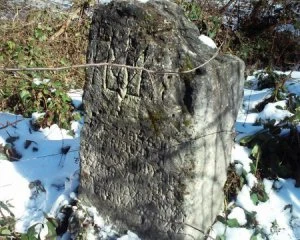 Бійці УПА відбили наступ більшовиків