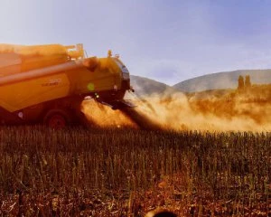 Загрожує опустелювання: Україна переходить у зону погодних катаклізмів