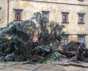 Стихія несеться Україною. Понад 100 населених пунктів знеструмлені